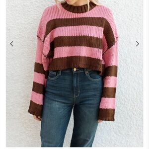 Carly Jean Los Angeles Pink and Brown Striped Cropped Sweater
